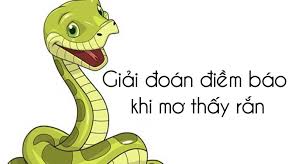  thấy rắn